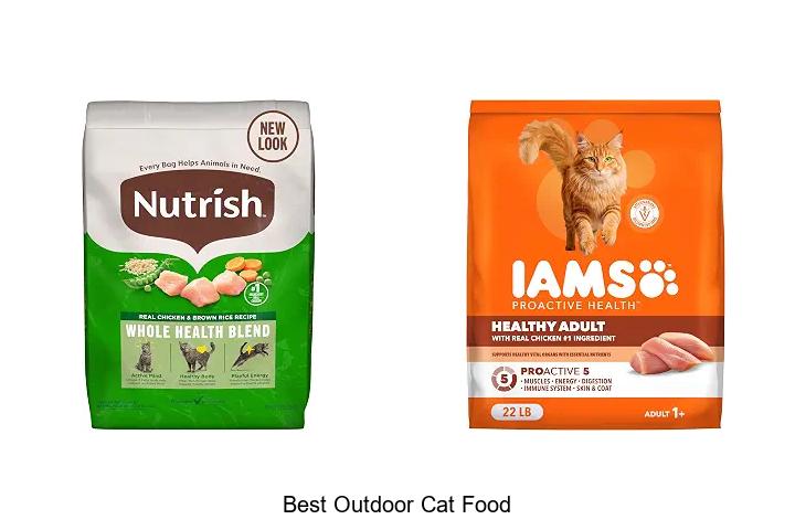 best outdoor cat food