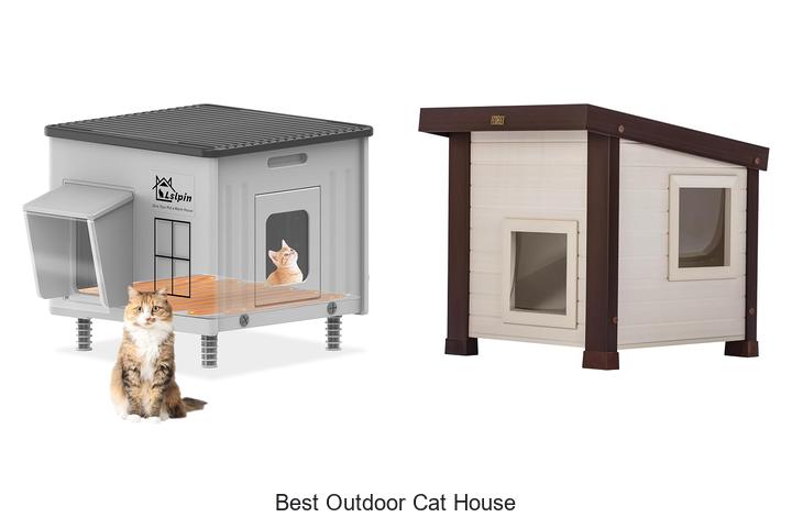 best outdoor cat house