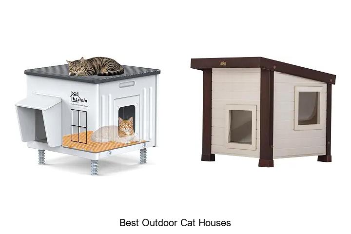 best outdoor cat houses