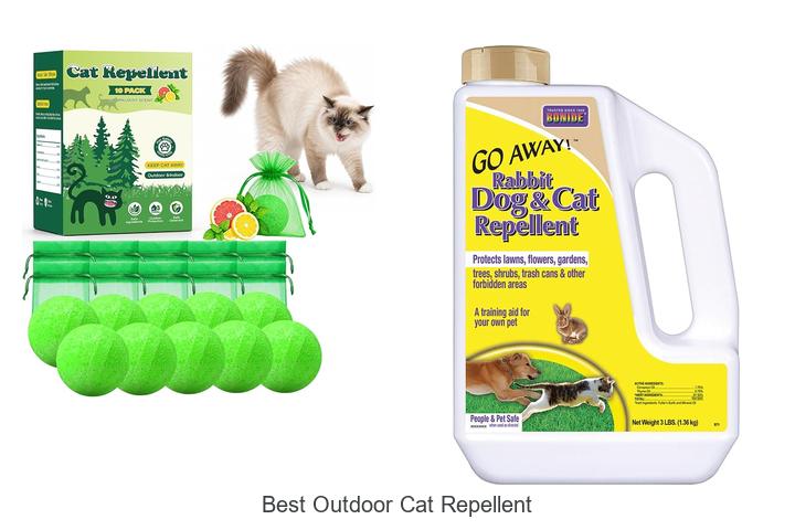 best outdoor cat repellent