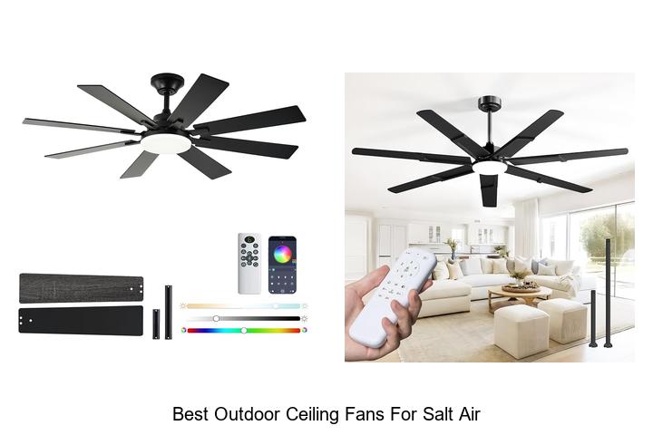 best outdoor ceiling fans for salt air