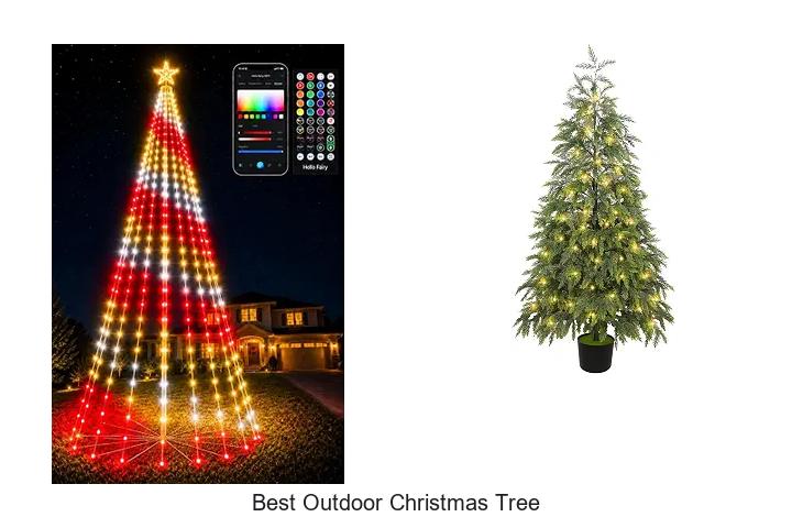 best outdoor christmas tree