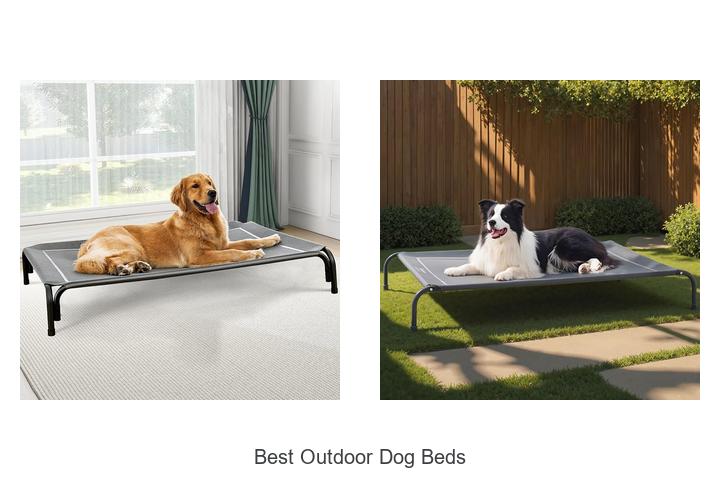best outdoor dog beds
