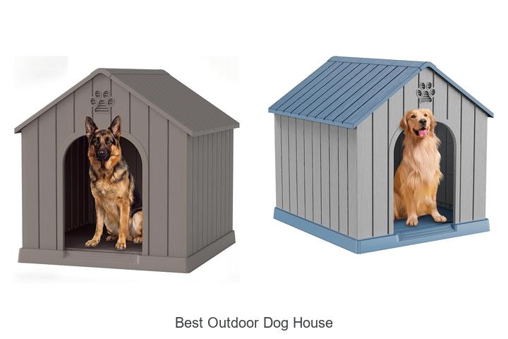 best outdoor dog house
