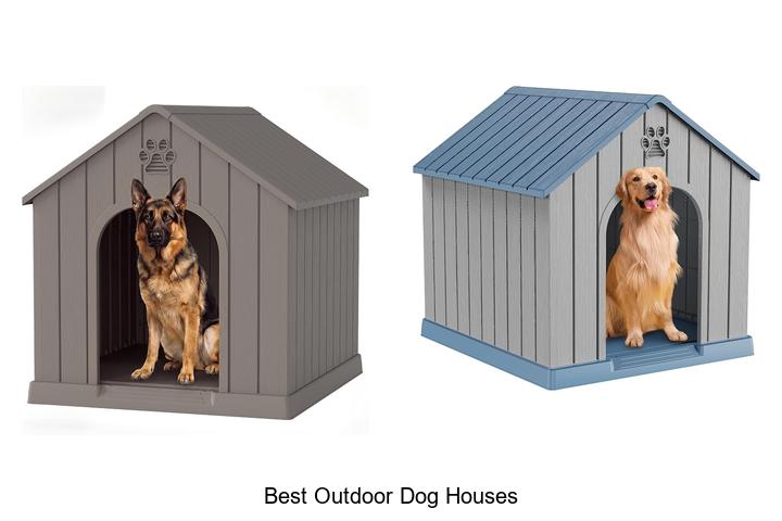 best outdoor dog houses