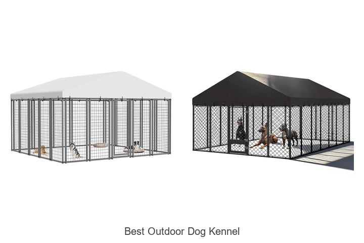best outdoor dog kennel