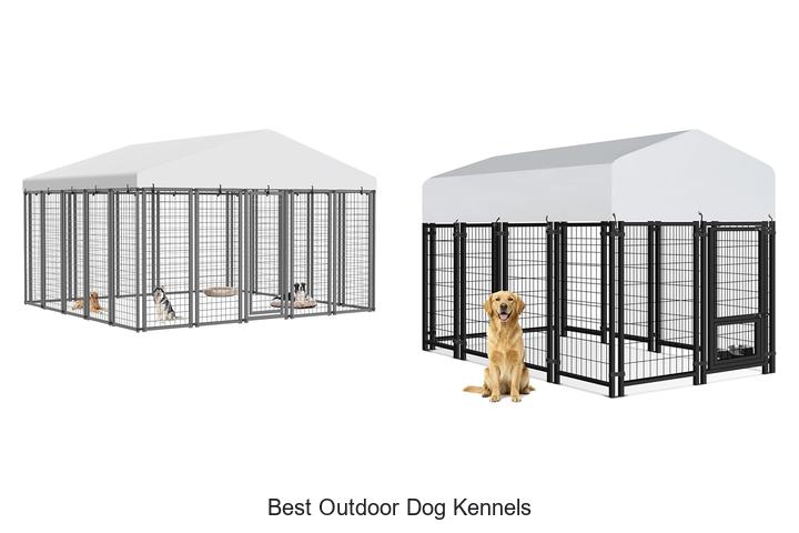 best outdoor dog kennels