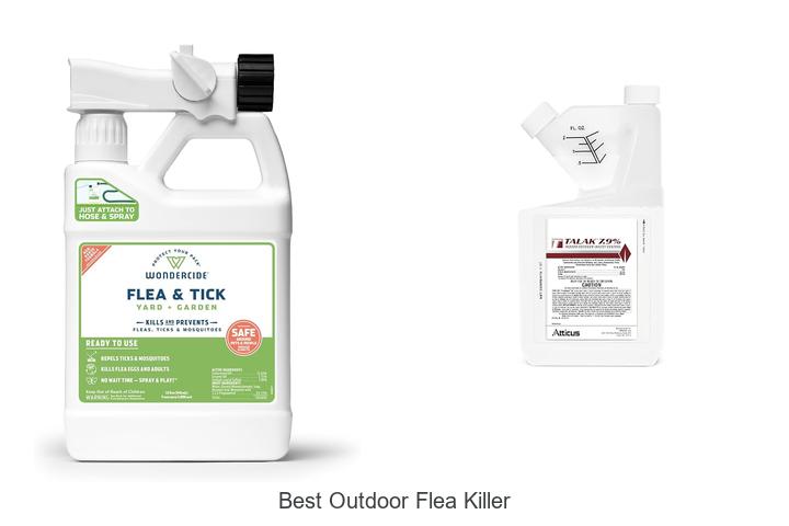 best outdoor flea killer