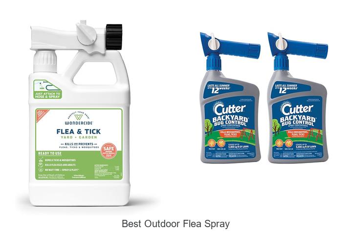best outdoor flea spray