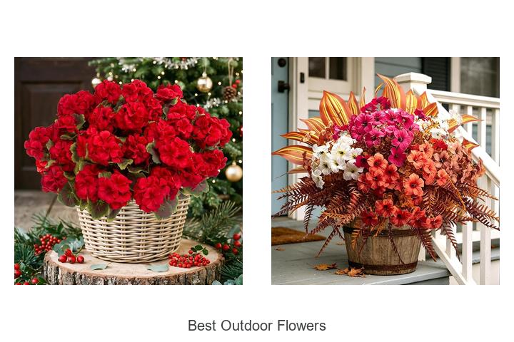 best outdoor flowers
