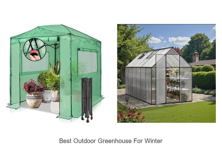 best outdoor greenhouse for winter