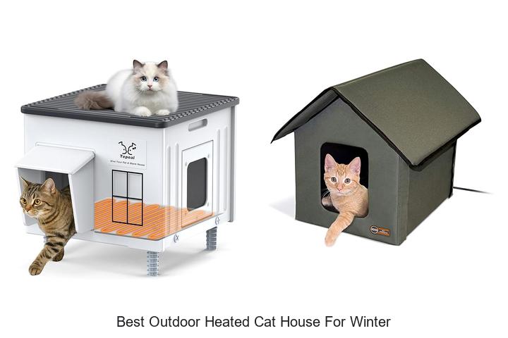 best outdoor heated cat house for winter