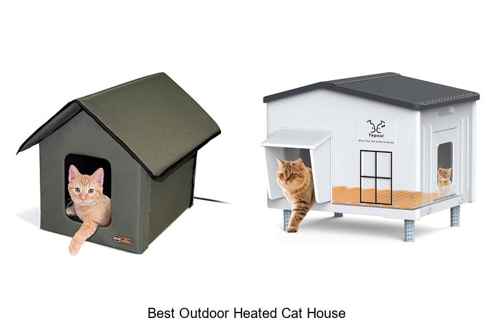 best outdoor heated cat house
