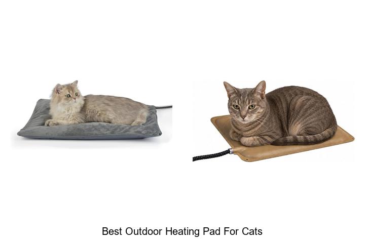 best outdoor heating pad for cats