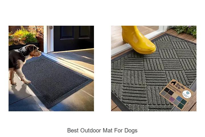 best outdoor mat for dogs