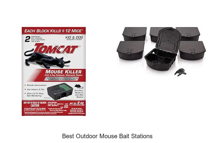 best outdoor mouse bait stations
