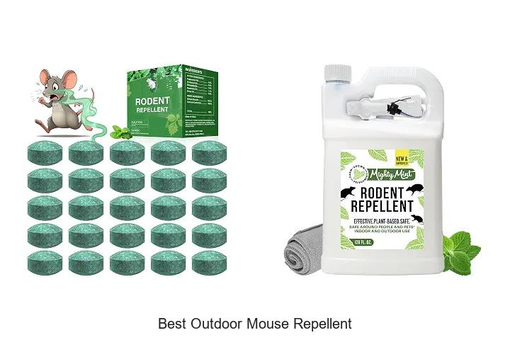 best outdoor mouse repellent