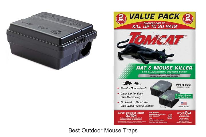 best outdoor mouse traps