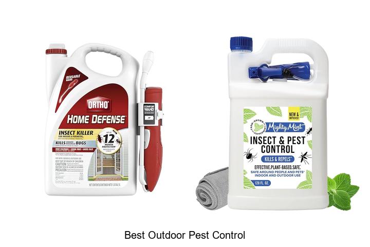 best outdoor pest control