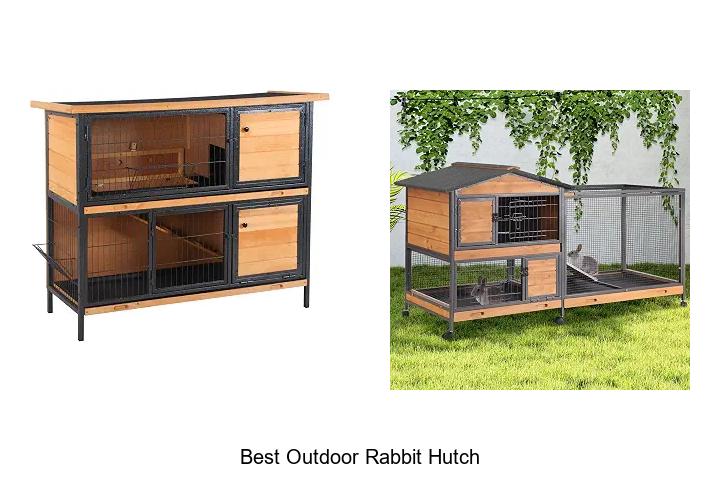 best outdoor rabbit hutch