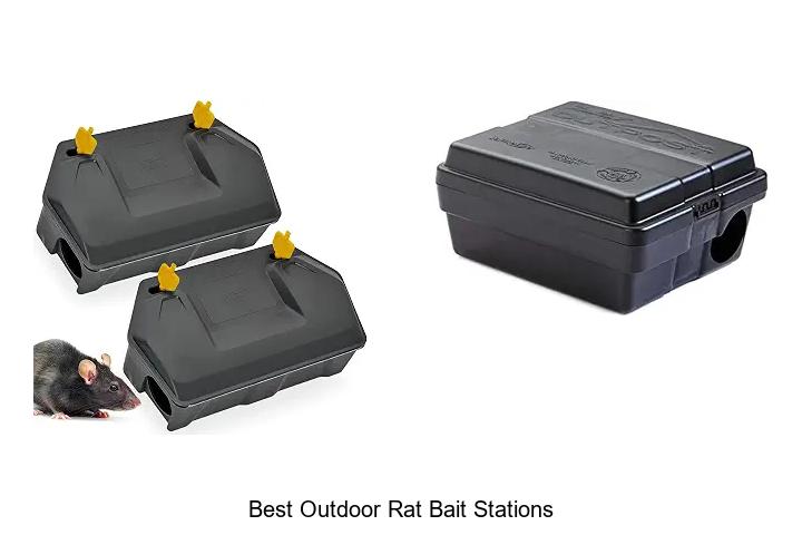 best outdoor rat bait stations
