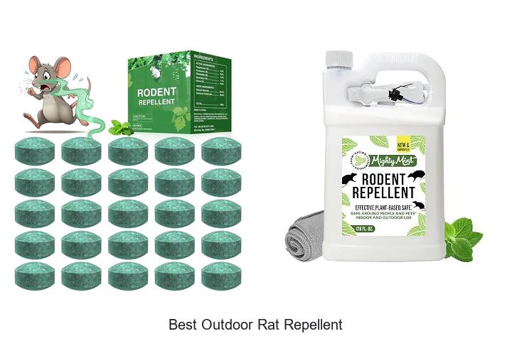 best outdoor rat repellent