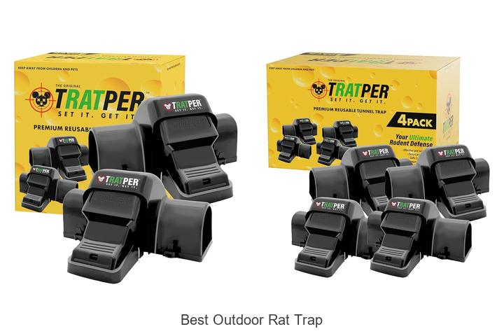 best outdoor rat trap