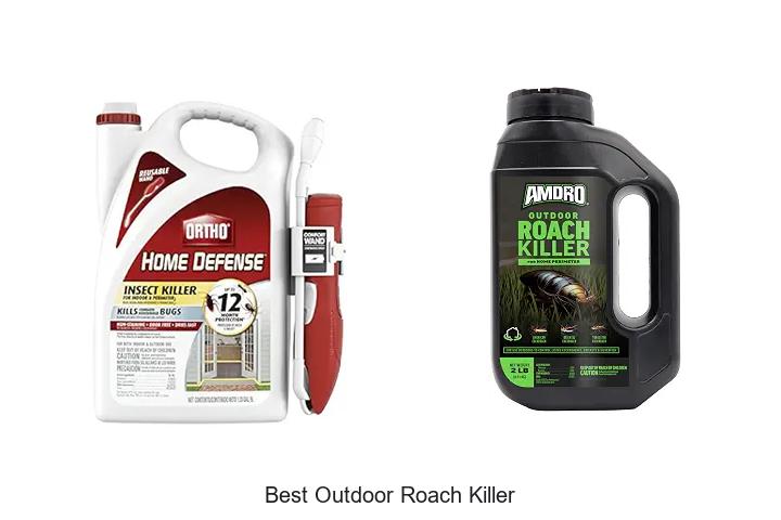 best outdoor roach killer