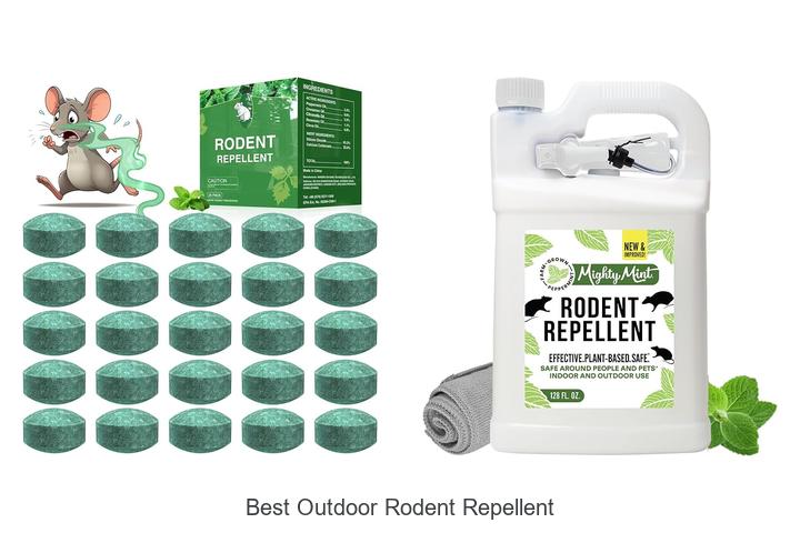 best outdoor rodent repellent