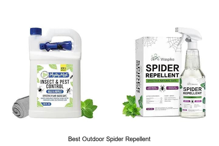 best outdoor spider repellent