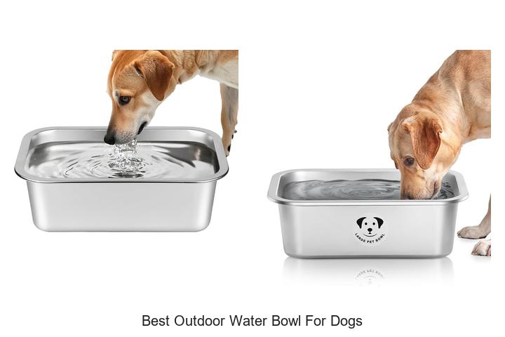 best outdoor water bowl for dogs