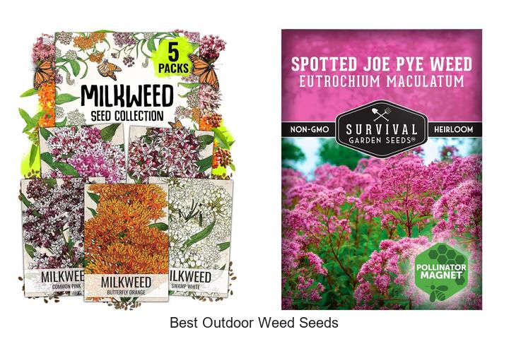 best outdoor weed seeds