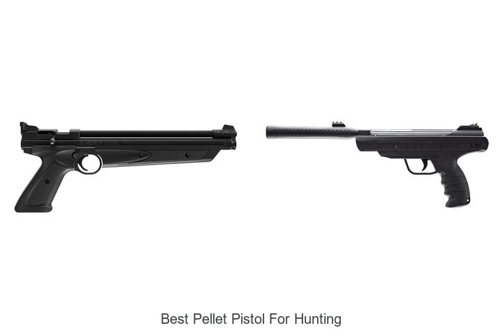 best pellet pistol for hunting