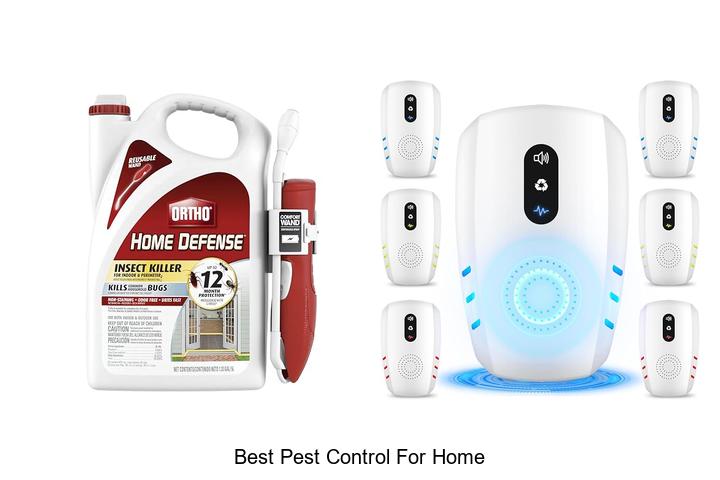 best pest control for home