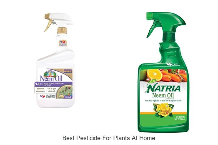 best pesticide for plants at home