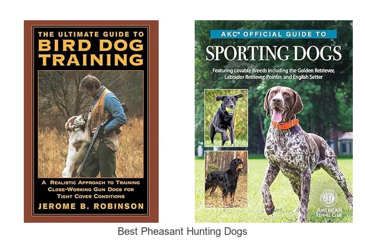 best pheasant hunting dogs