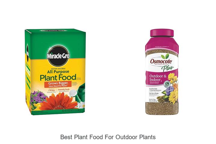 best plant food for outdoor plants