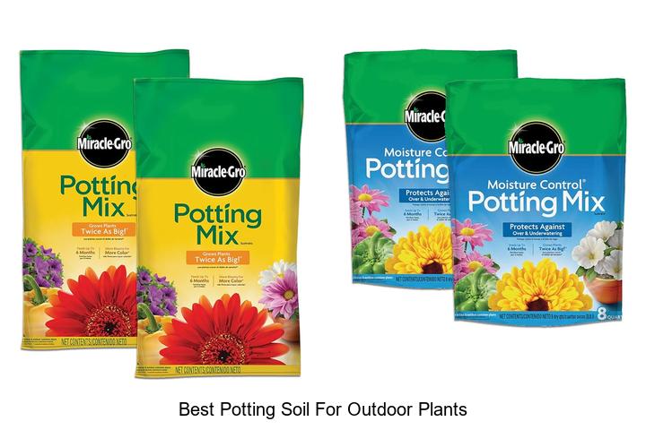 best potting soil for outdoor plants