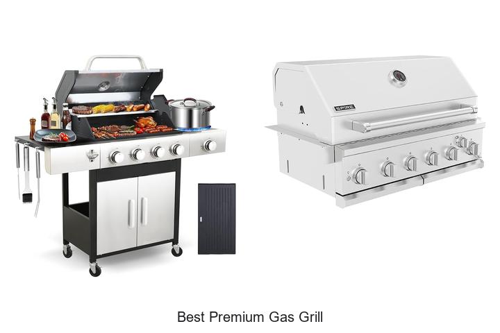 best premium gas grill