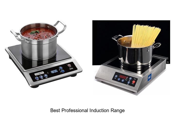 best professional induction range