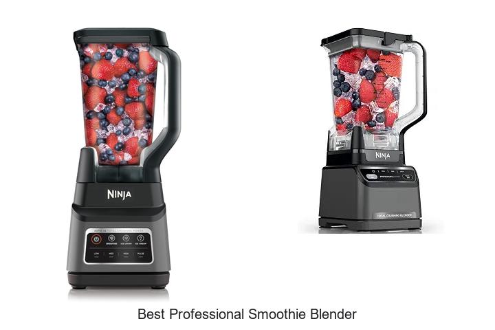 best professional smoothie blender