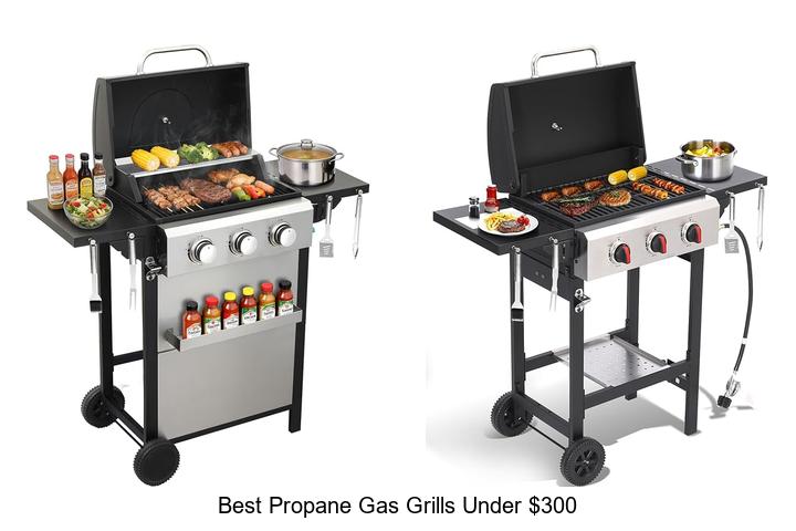 best propane gas grills under 300