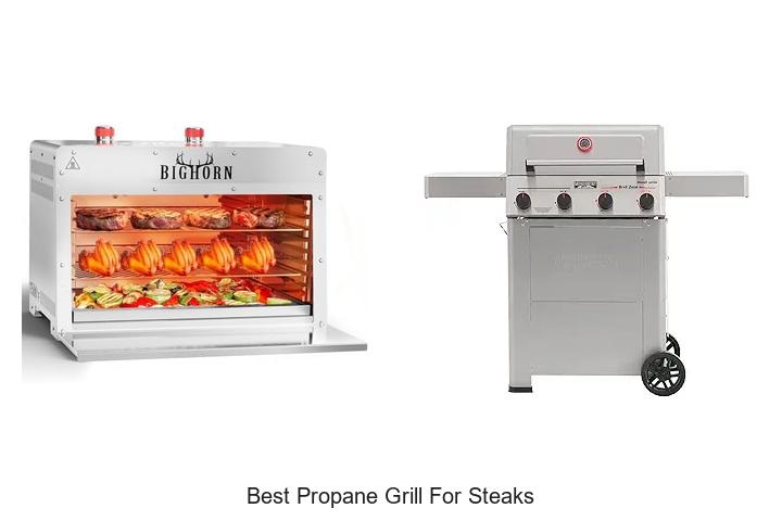 best propane grill for steaks