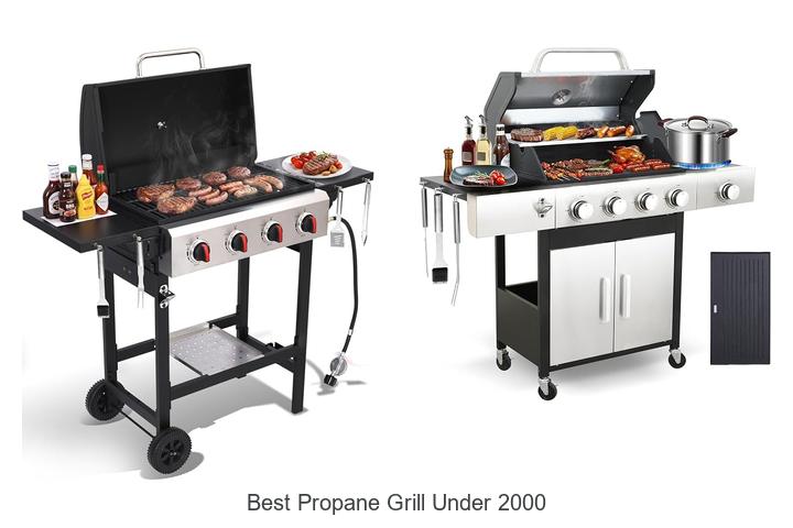 best propane grill under 2000