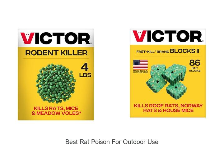 best rat poison for outdoor use