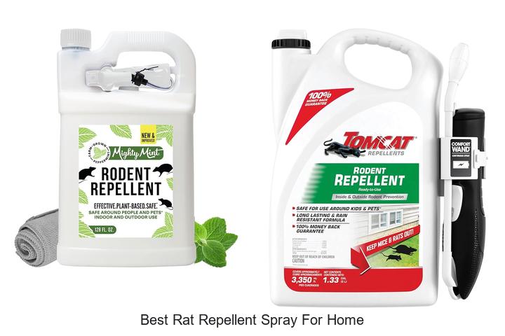 best rat repellent spray for home