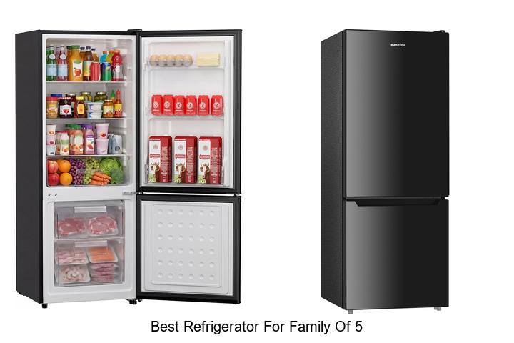 best refrigerator for family of 5