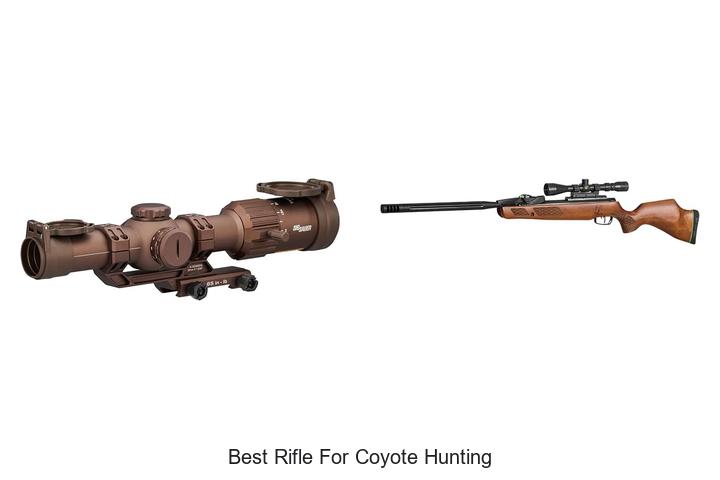 best rifle for coyote hunting