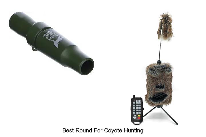 best round for coyote hunting