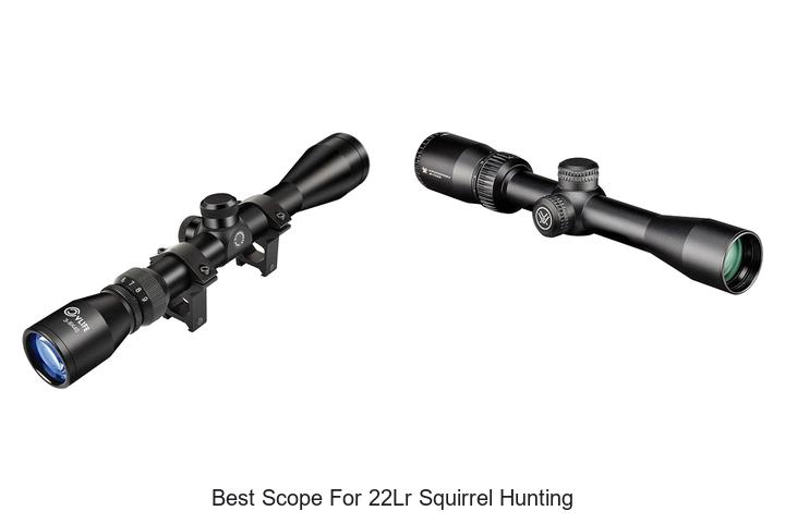 best scope for 22lr squirrel hunting